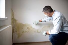 Forensic Mold Investigation in Sauk Village, IL